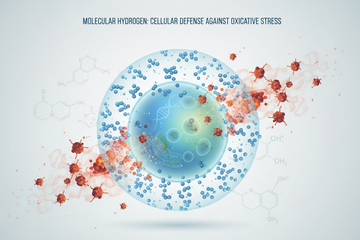 molecular hydrogen oxidative stress